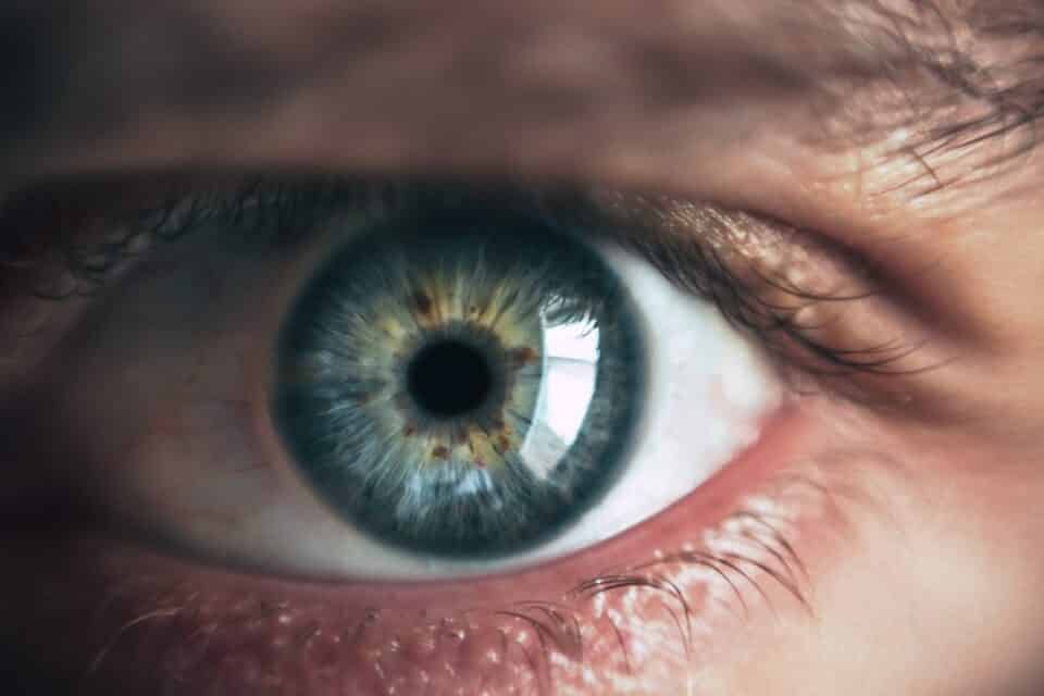 Fatos Sobre Olhos Verdes A Cor De Olhos Mais Rara Do Mundo