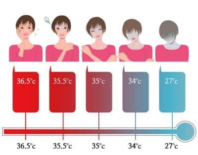 Temperatura Do Corpo Humano Qual O N Mero Ideal