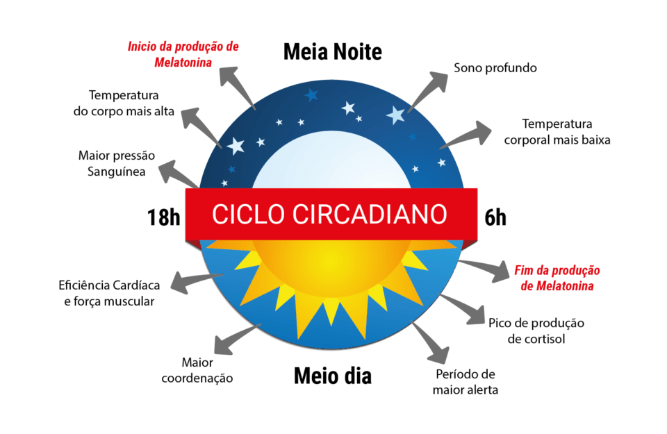 Blog Da Giovanna Ciclo Circadiano O Que Fun O E Import Ncia Para