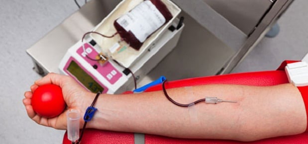 Quantos Litros De Sangue Um Ser Humano Tem No Corpo Quantos Litros De Sangue O Corpo Humano Tem Segredos Do Mundo
