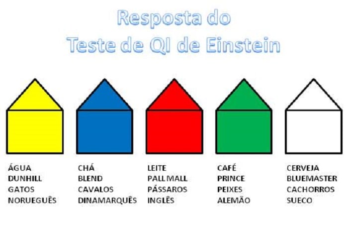 Teste de Einstein: somente os gênios conseguem resolver