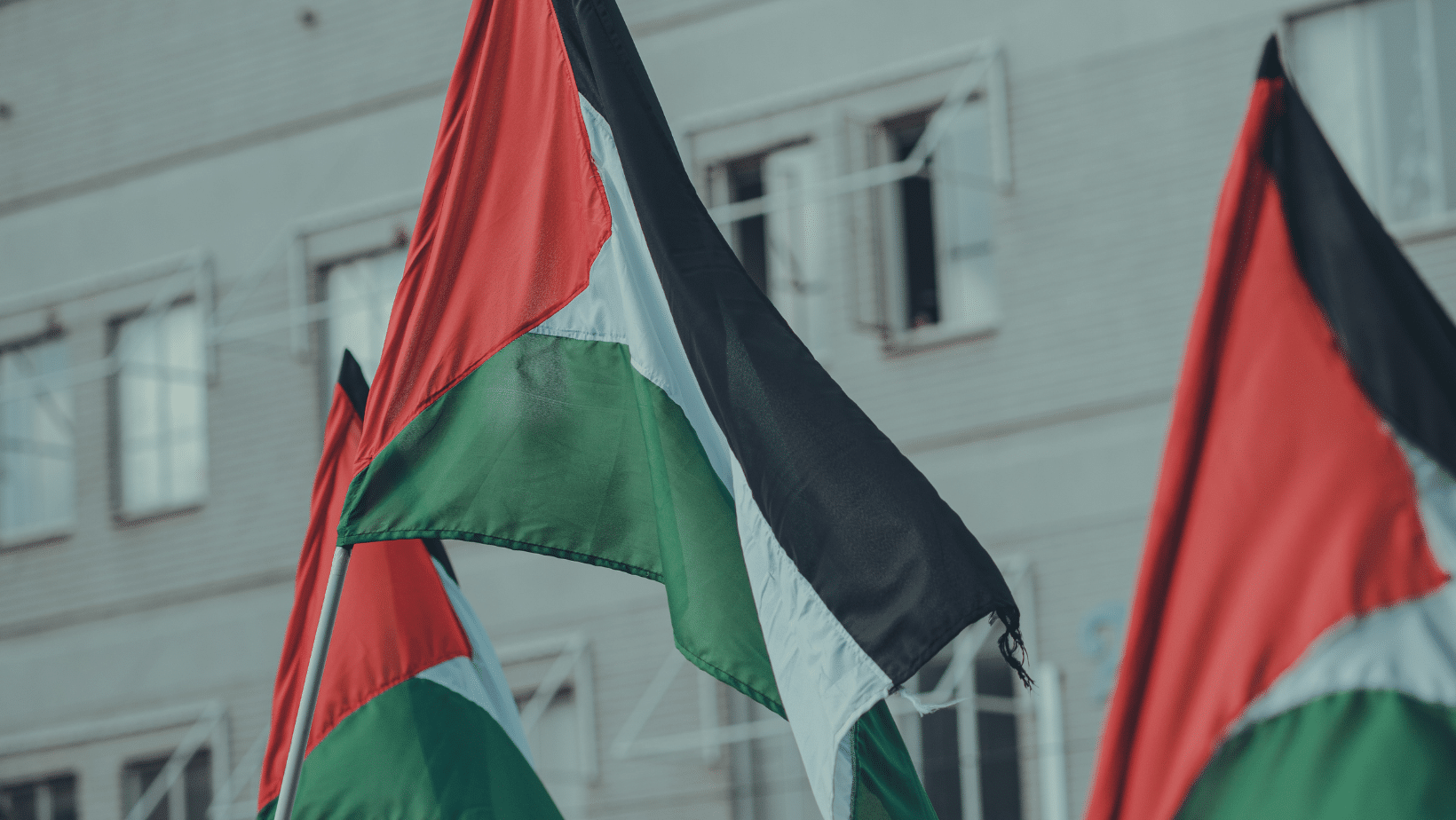 5 fatos e curiosidades sobre a Palestina e sua história