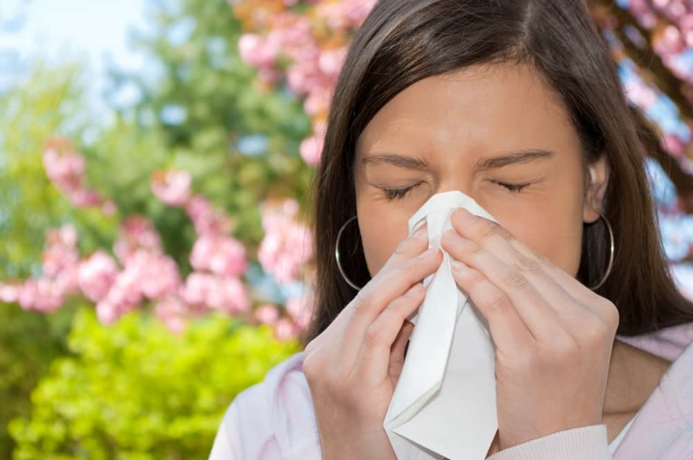 5 remédios naturais contra a rinite alérgica