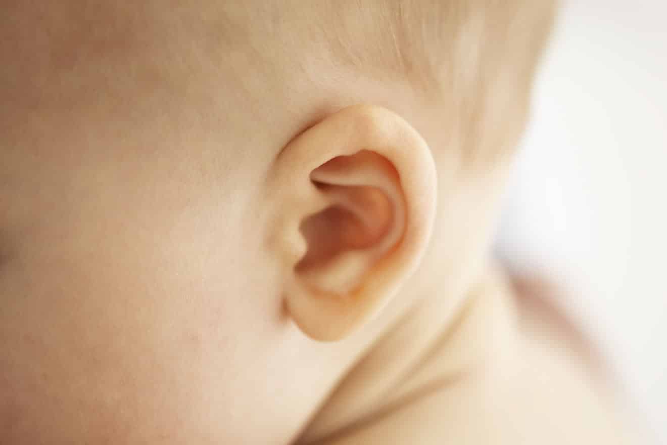É verdade que a nossa orelha nunca para de crescer?