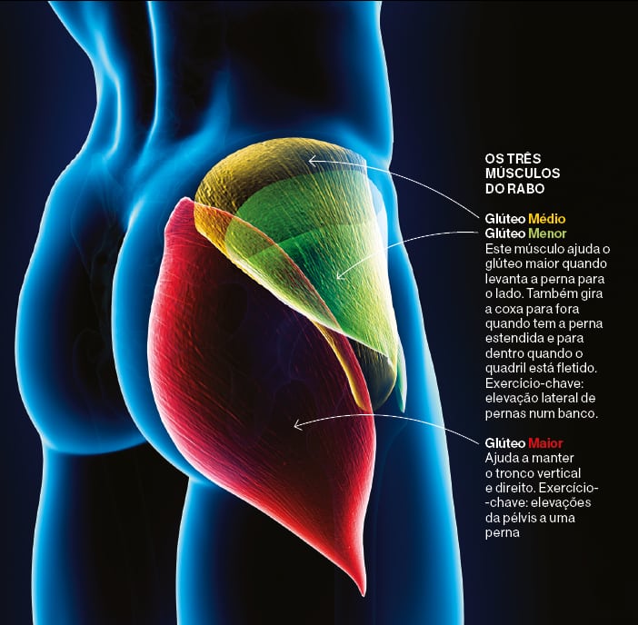 RDL , é um #sucesso para #gluteo se vc ainda ñ está fazendo tá perden