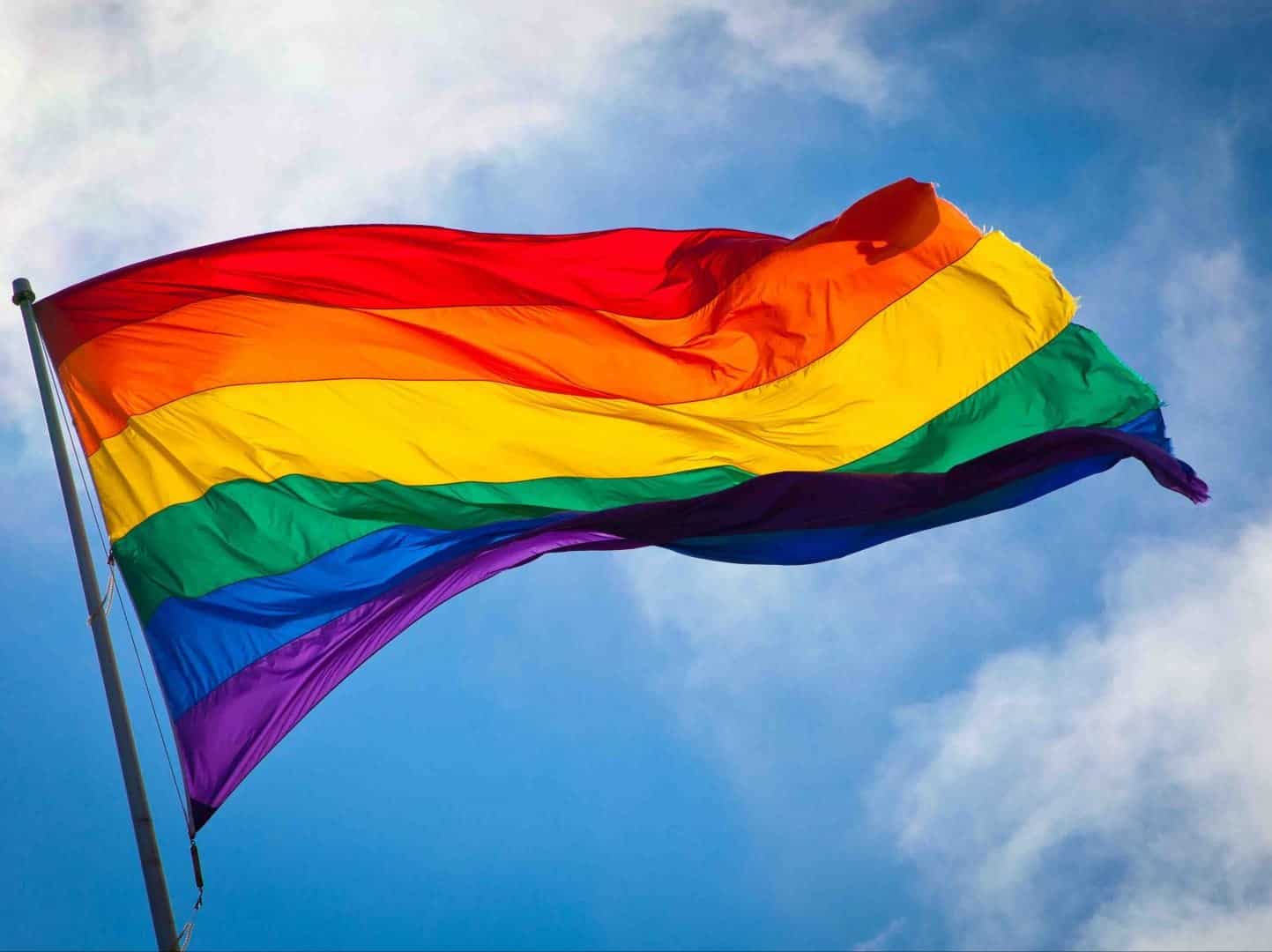 Resultado de imagem para bandeira gays