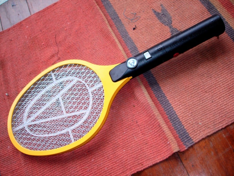Maneiras naturais de acabar com as moscas em casa sem usar veneno