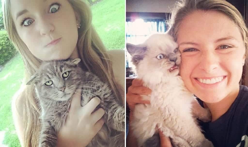 40 gatos que odiaram sair na selfie de seus humanos