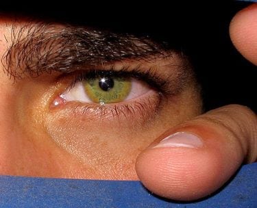 Fatos Sobre Olhos Verdes A Cor De Olhos Mais Rara Do Mundo