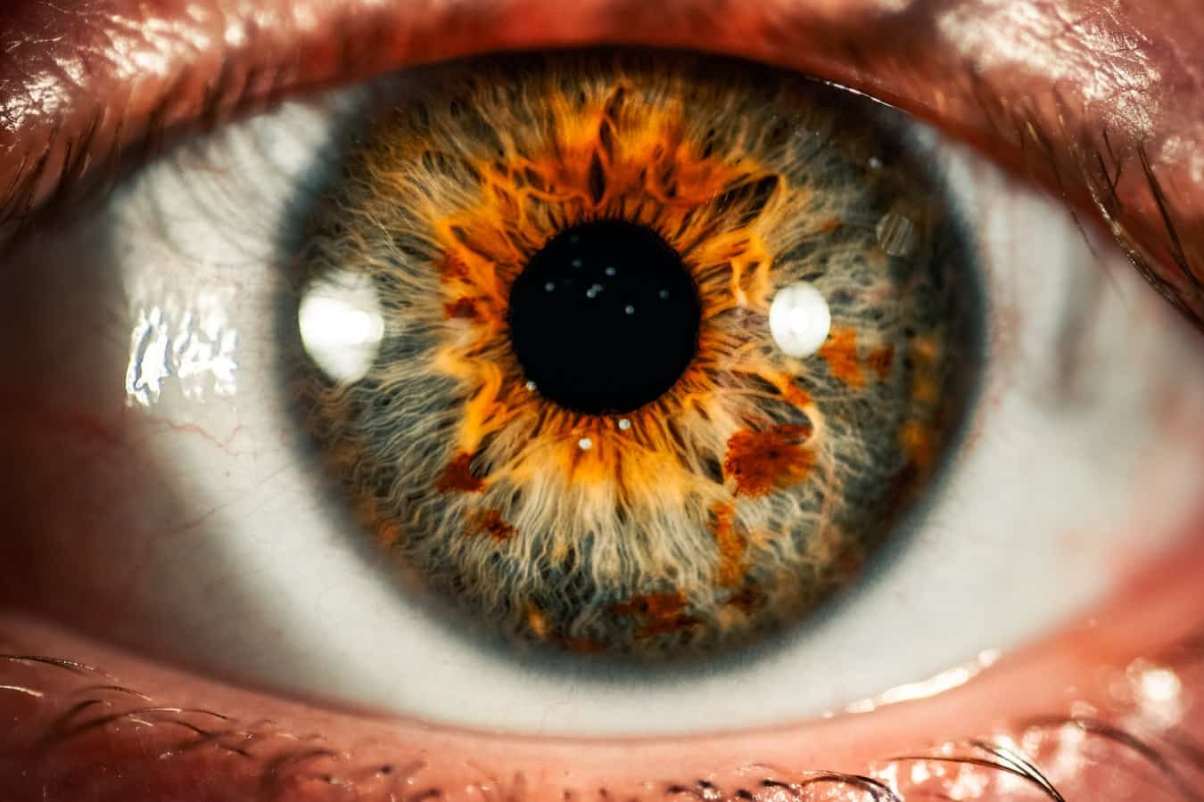 Turquesa.  Fotografia olho, Cores de olhos raras, Olhos verde