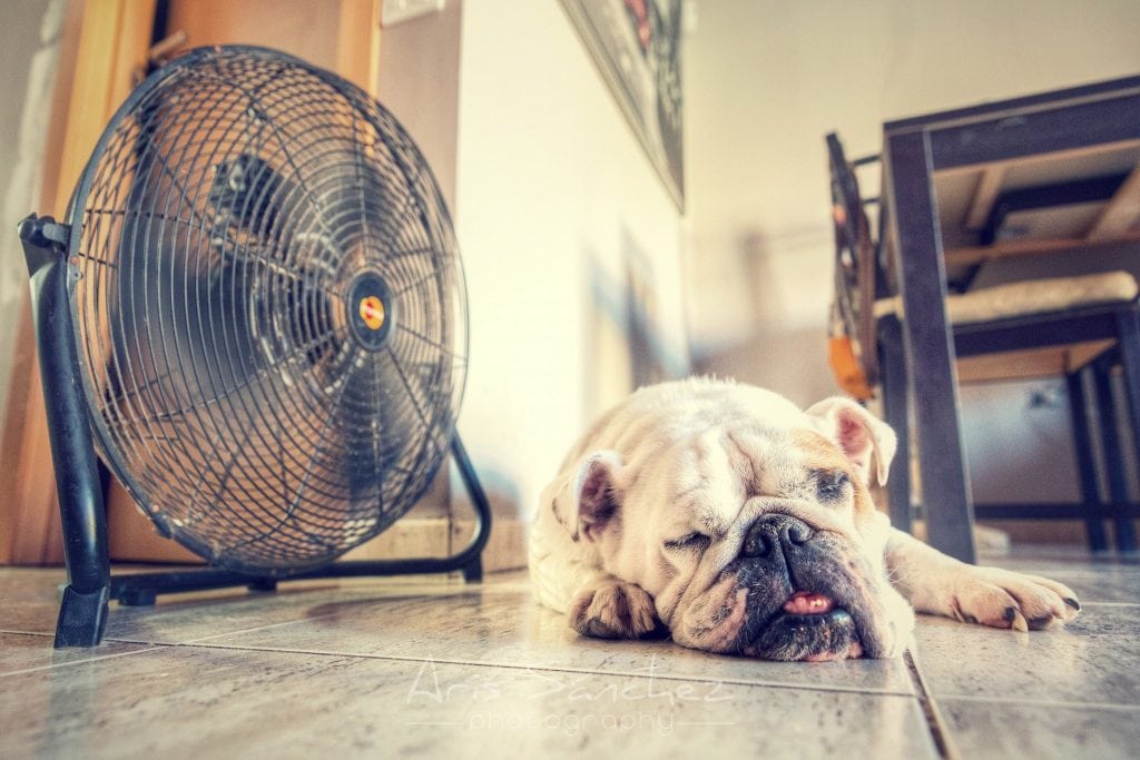 12 maneiras de aliviar o calor sem ar condicionado