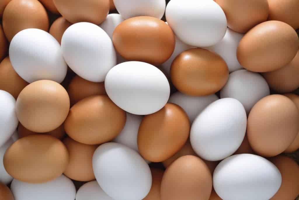 O que acontece se você comer clara de ovo durante uma semana?