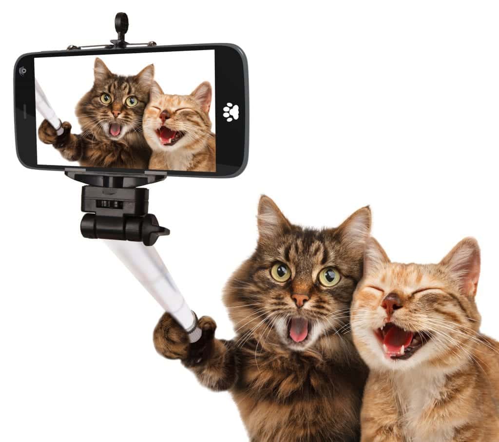 10 dicas fantásticas para você tirar a selfie perfeita!