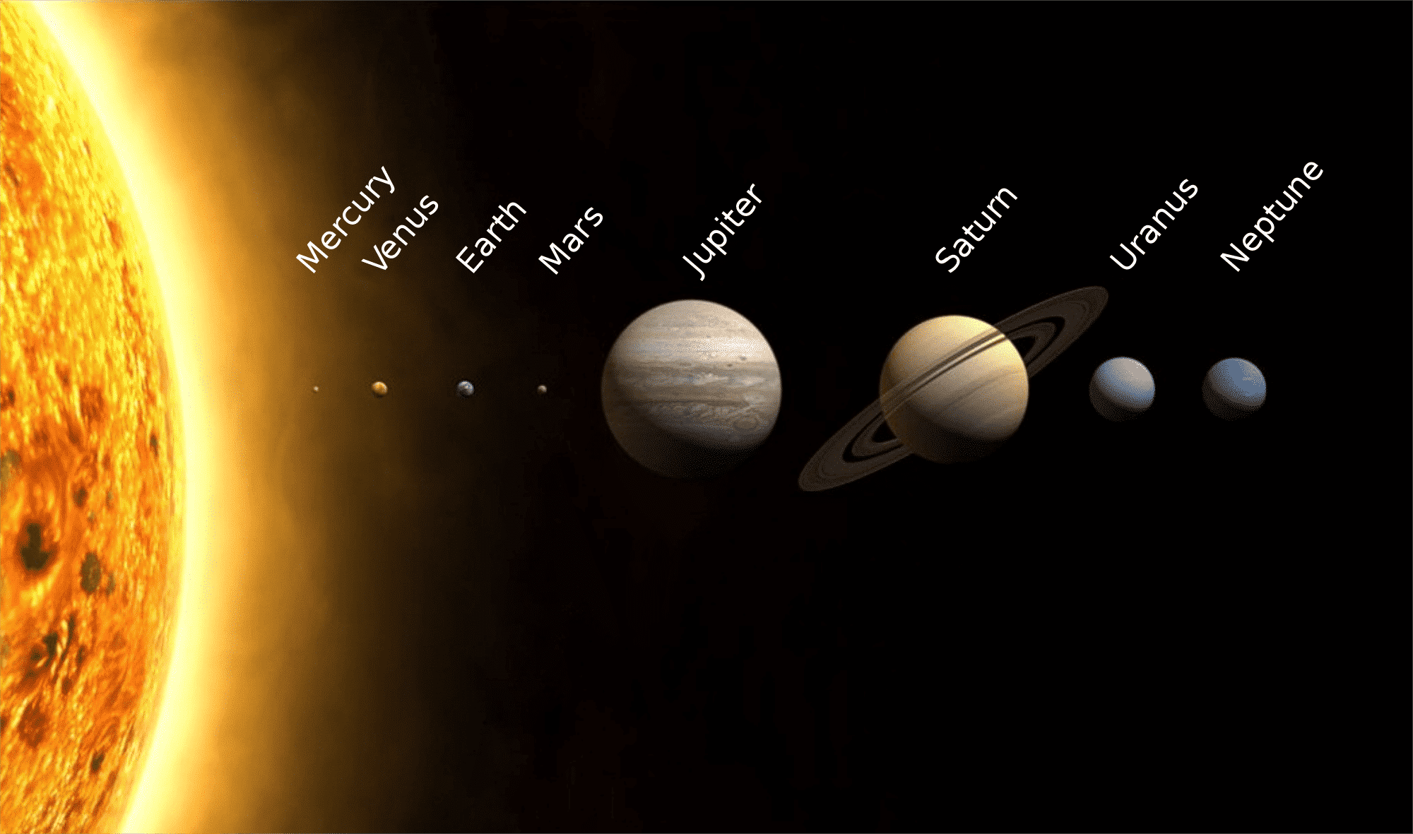 Porque o Sol é tão importante para a vida na Terra?