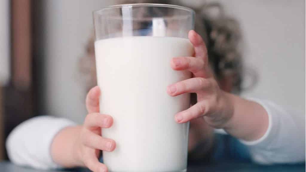 Descubra agora: por que o leite sobe quando ferve?