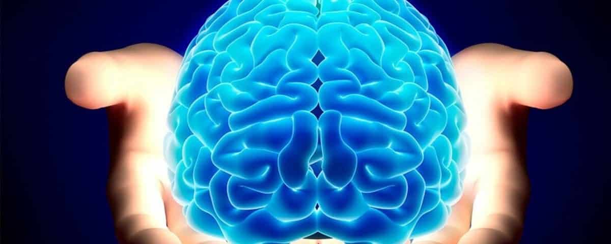 Nova região do cérebro humano é descoberta por cientistas