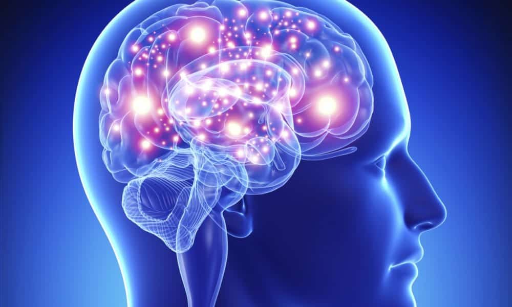Nova região do cérebro humano é descoberta por cientistas
