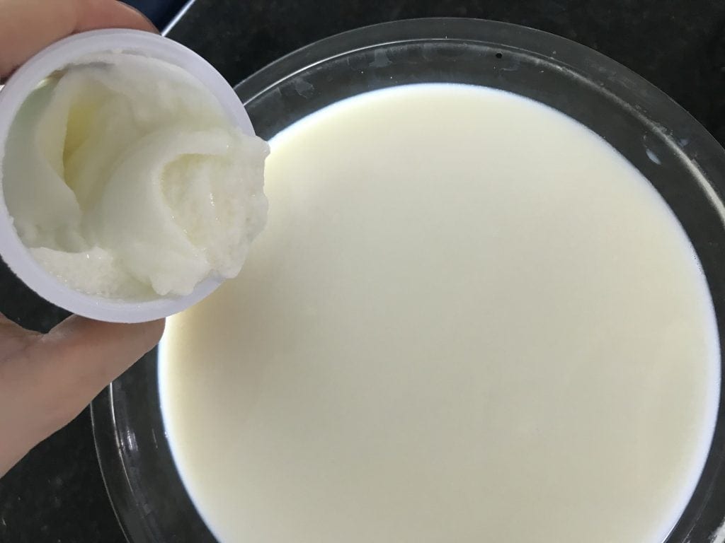 Aprenda como fazer iogurte natural de uma maneira fácil