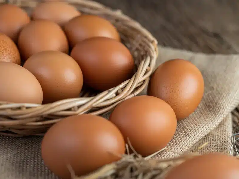 20 fatos sobre o ovo que todo mundo deveria conhecer