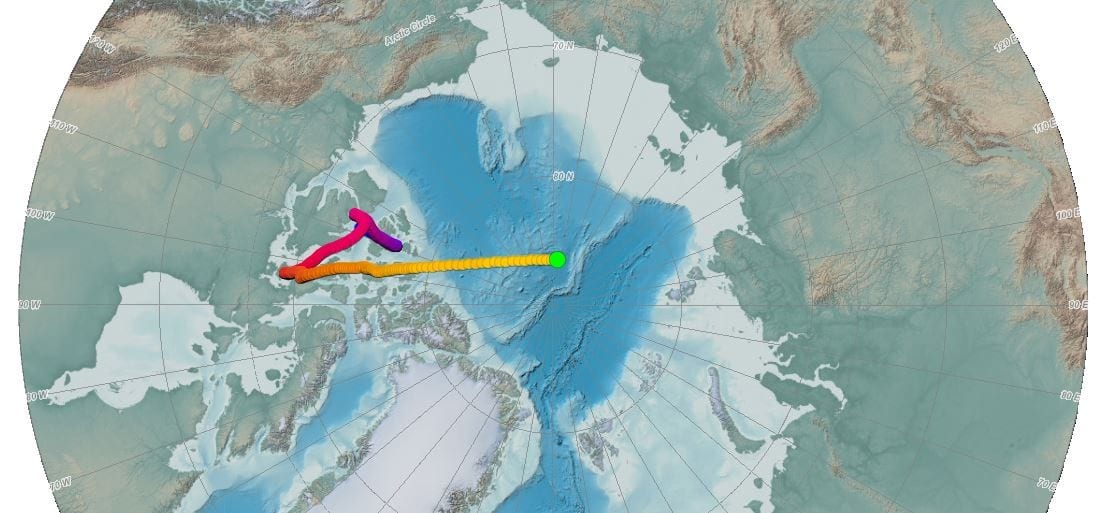 Polo Norte está se movendo do Canadá para a Rússia
