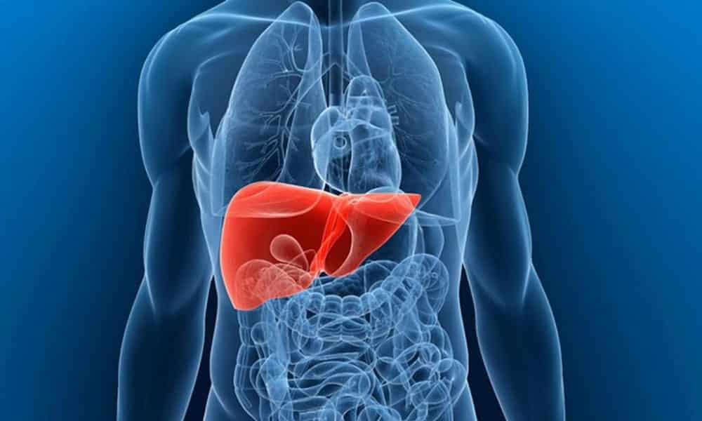 Quais sintomas podem indicar problema no fígado?
