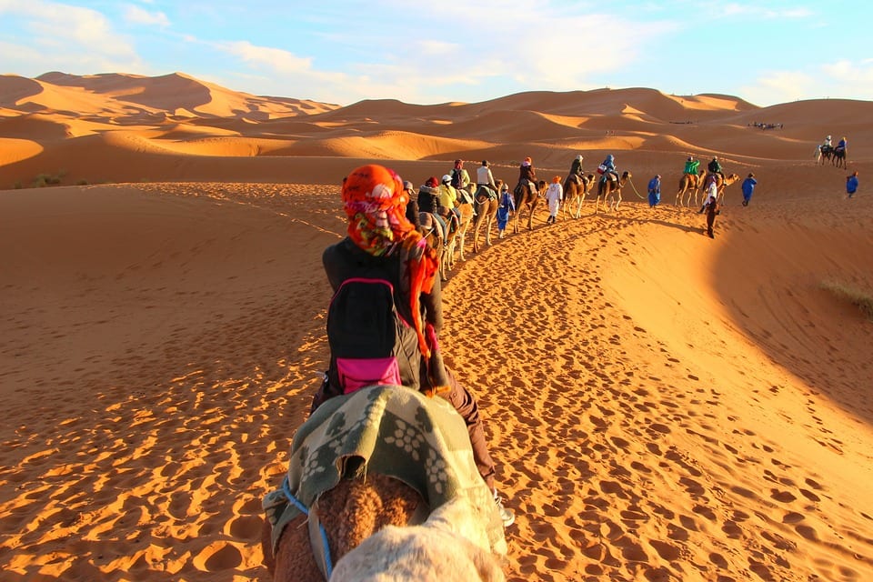 Tudo o que você precisa saber sobre o deserto do Saara