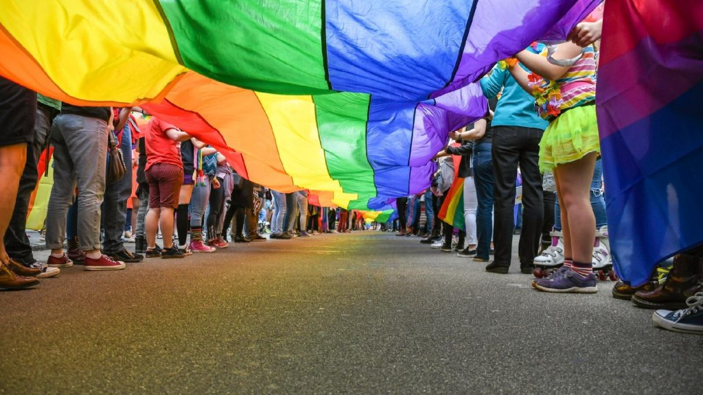 Mulher Trans Drag Queen Ftm E Outras Expressões Do Universo Lgbt 7058