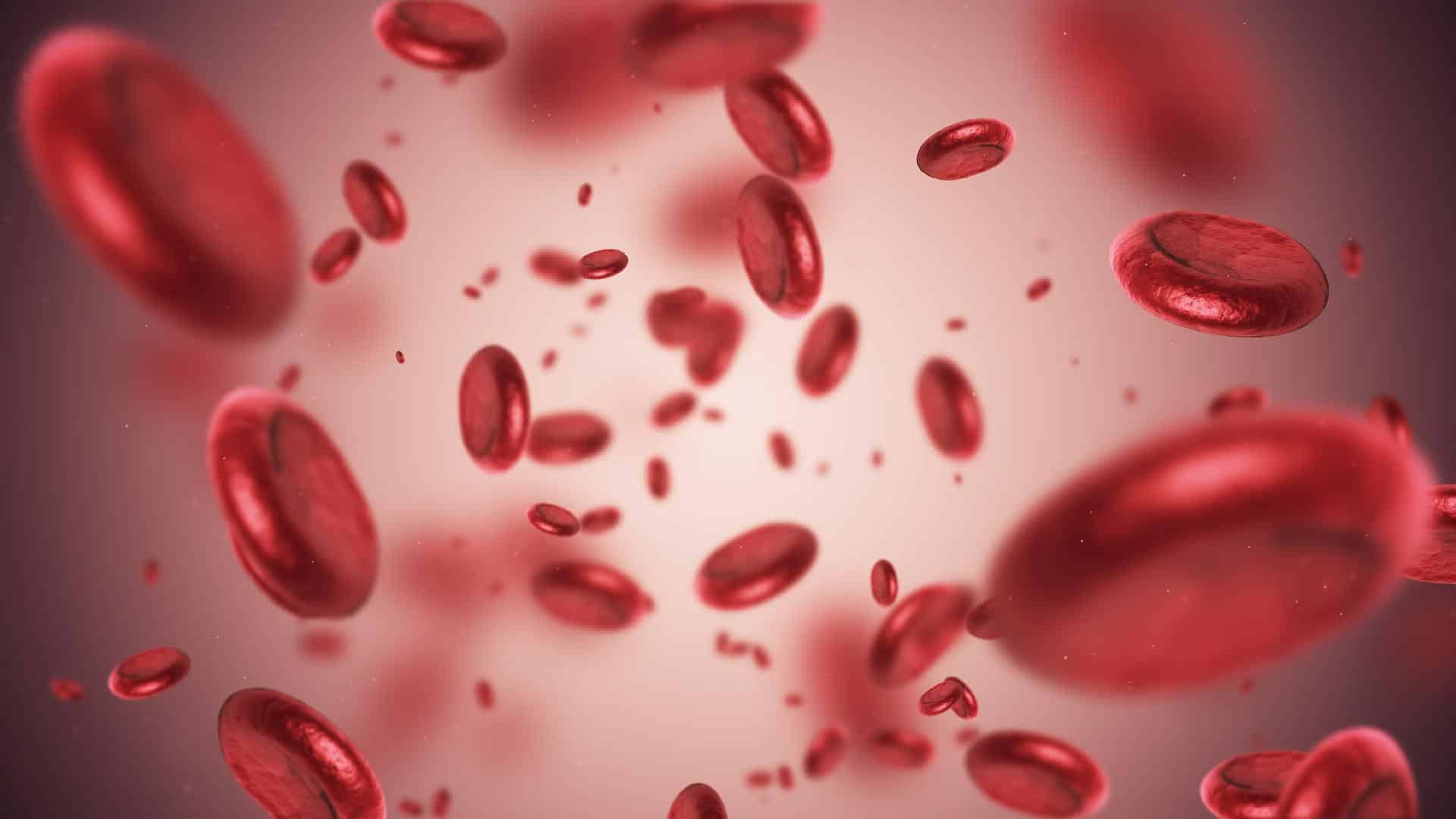 Você conhece quais são os sintomas de anemia?
