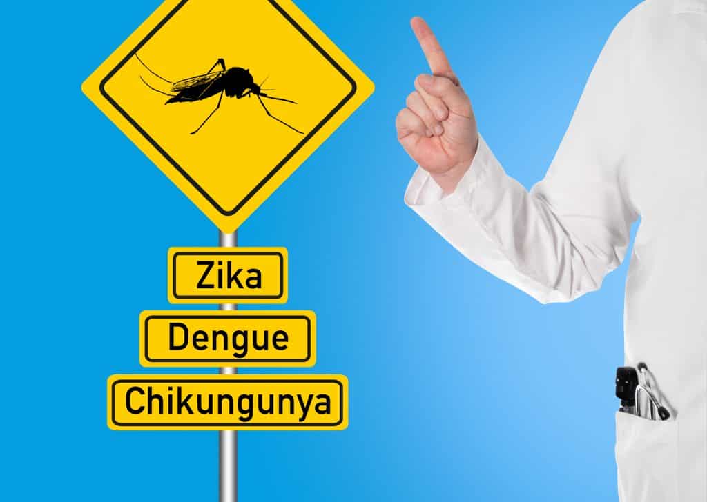 Chikungunya - transmissão, sintomas, tratamento e prevenção