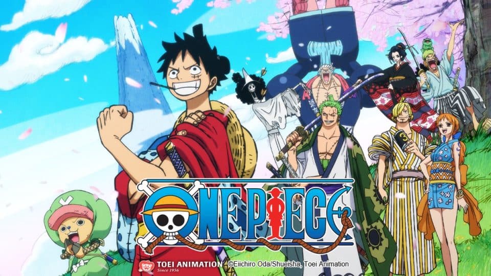 Pôster do animes One Piece