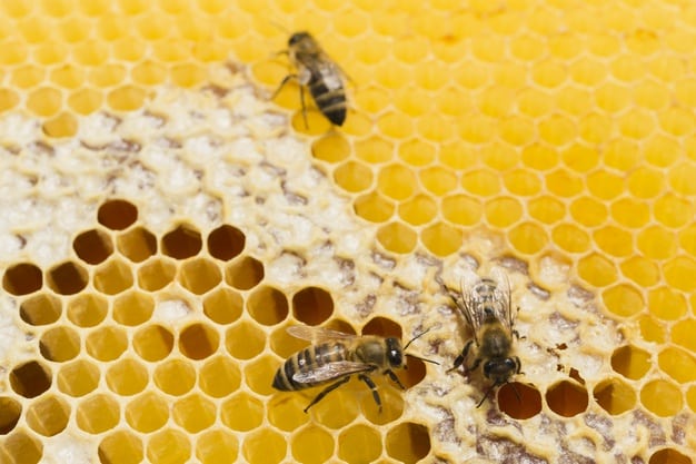 Como o mel é feito pelas abelhas?