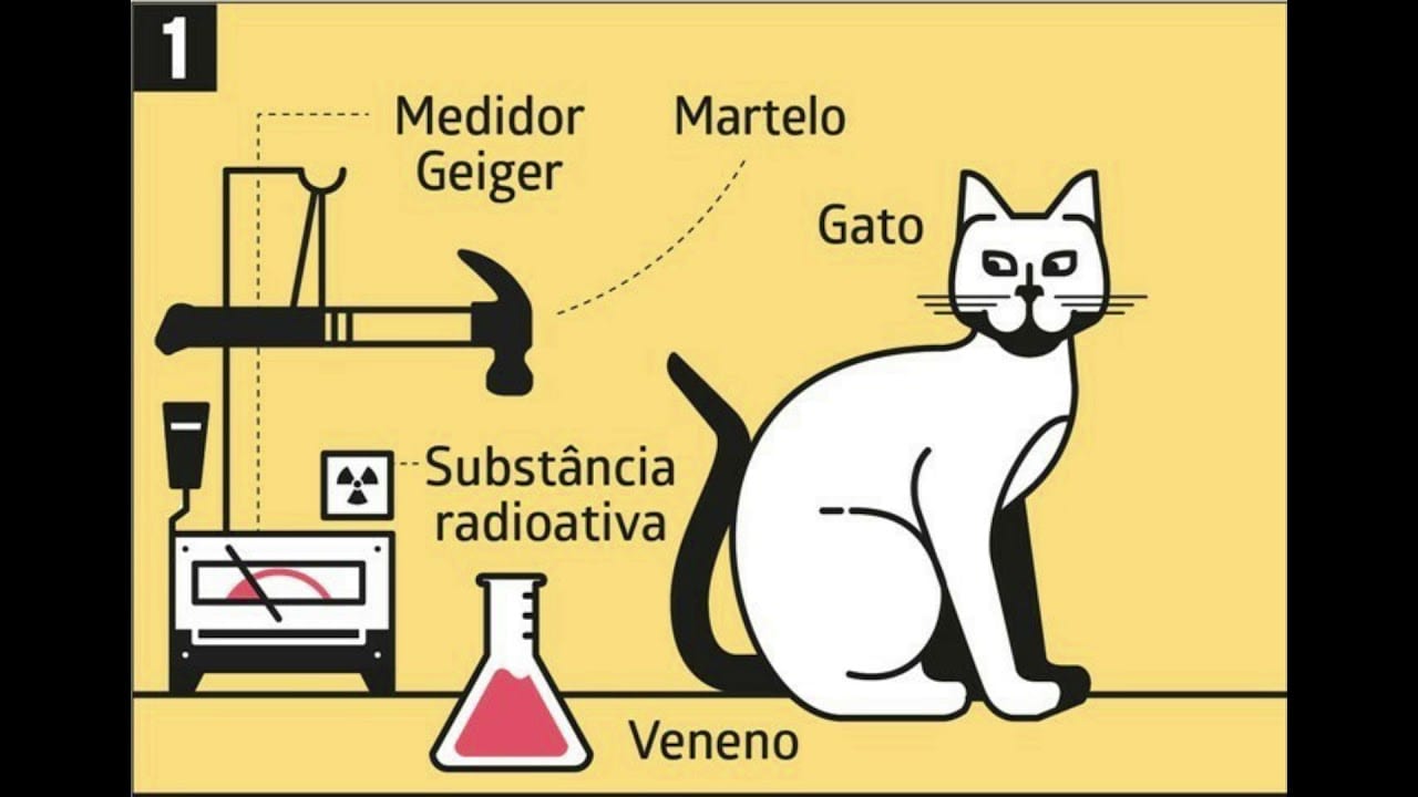 Já ouviu falar sobre a teoria do gato de schrödinger? Confira mais detalhes