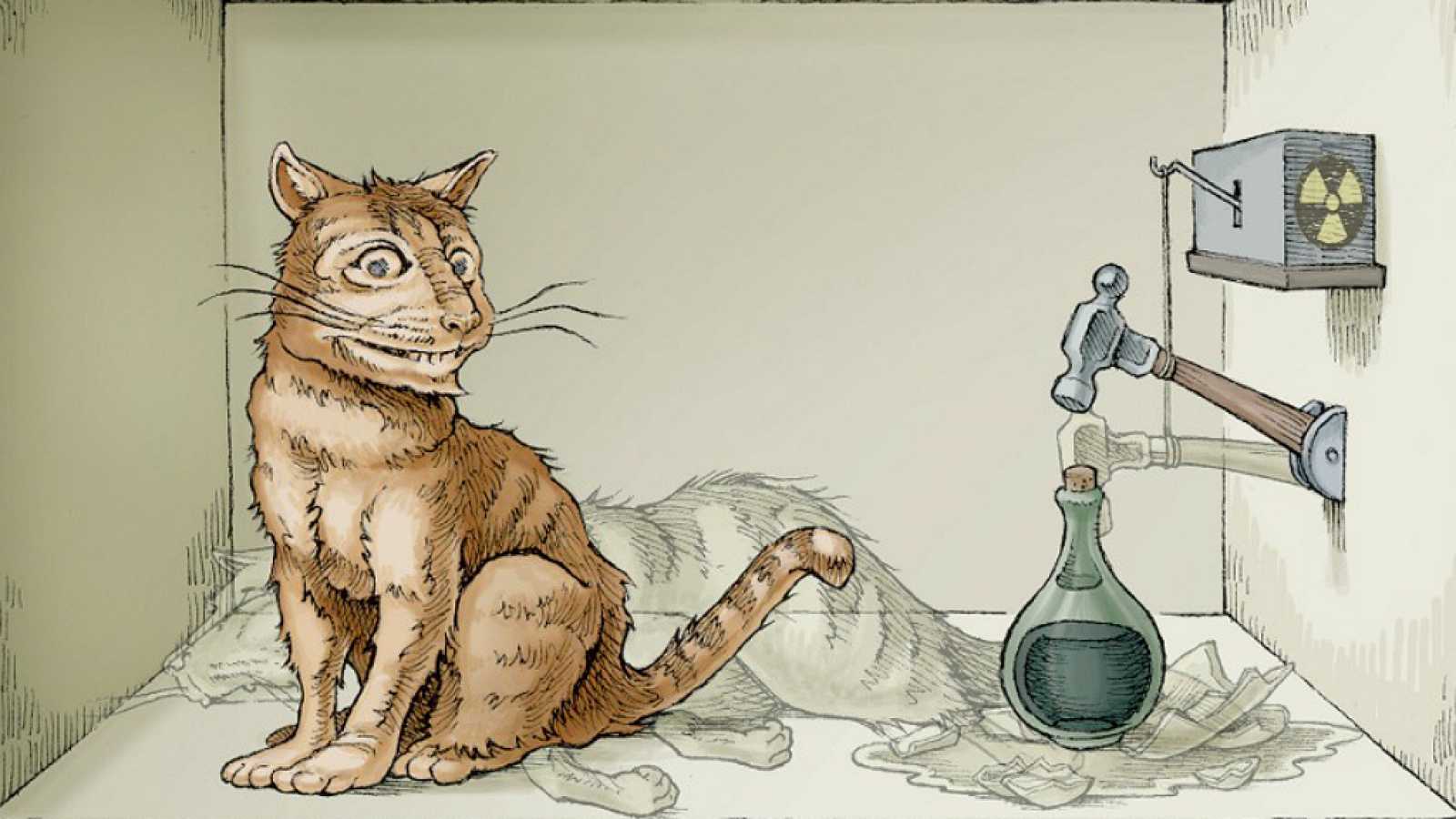Já ouviu falar sobre a teoria do gato de schrödinger? Confira mais detalhes