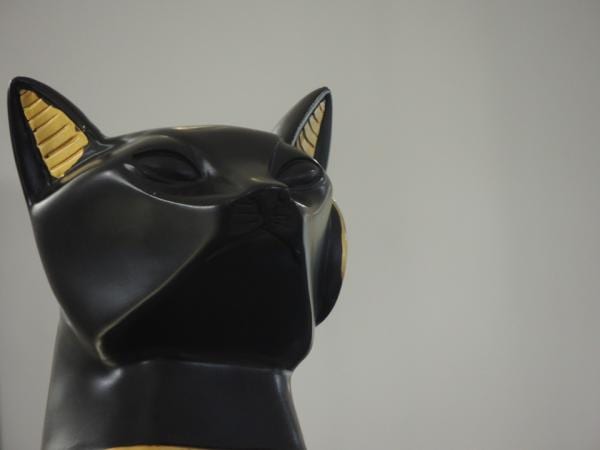 Gato preto: 13 curiosidades intrigantes que vão fazer você querer ter um