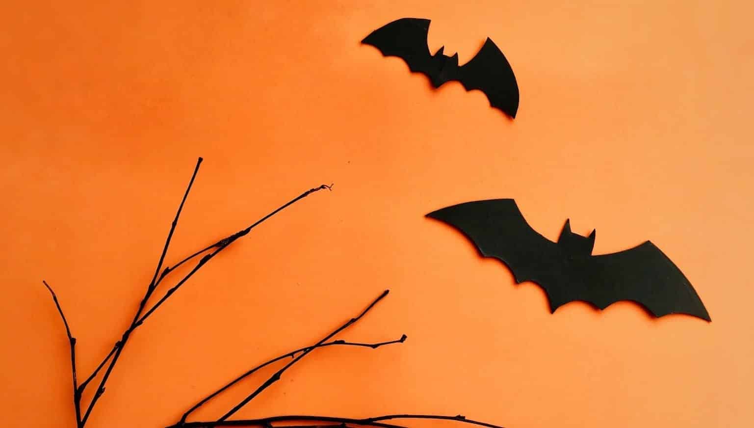 Halloween - Conheça a história, significado de tradições e mais