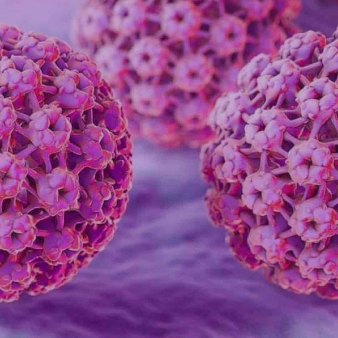 HPV- O que é, tratamentos, cuidados, diagnósticos e prevenção