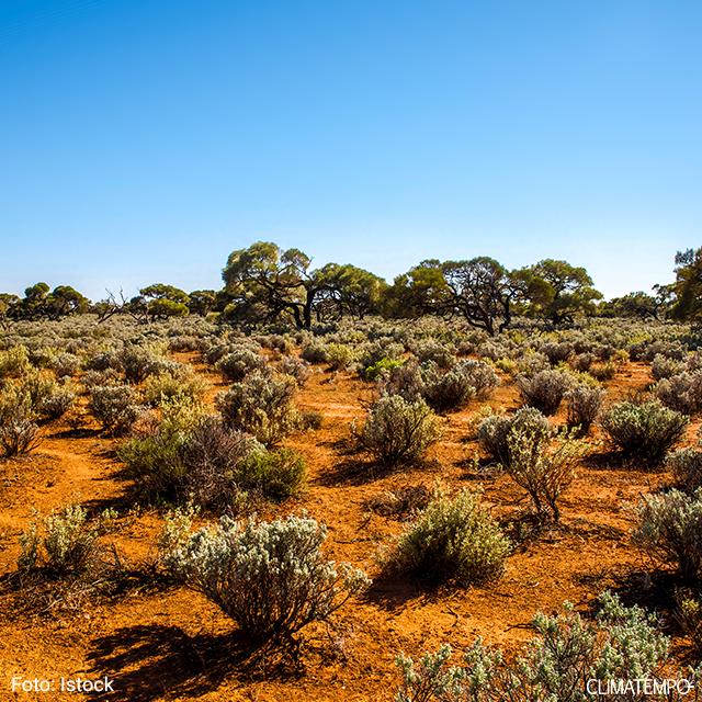 Conheça a beleza dos maiores desertos do mundo