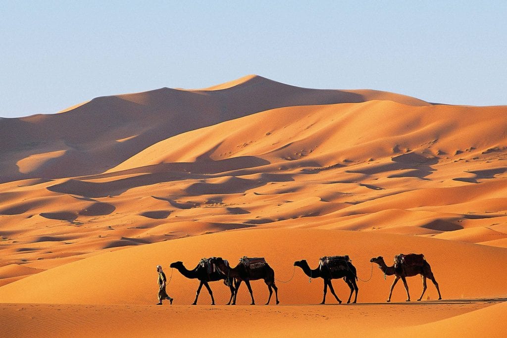 Os Maiores Desertos Do Mundo E Suas Dimens Es