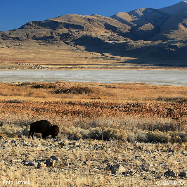 Conheça a beleza dos maiores desertos do mundo