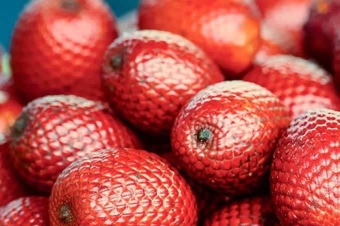 Saiba qual é a fruta típica do Cerrado que diminui risco de câncer e  fortalece economia de povos tradicionais, Mato Grosso do Sul