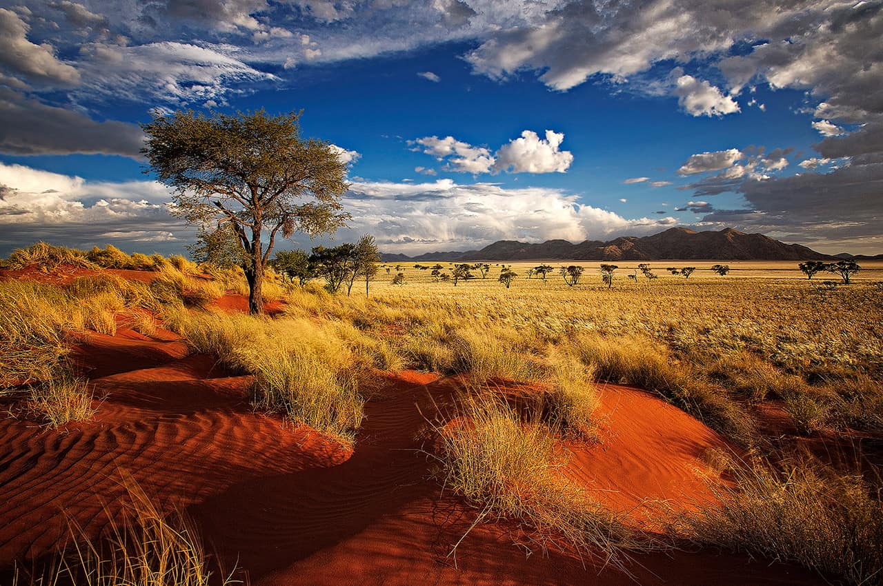 Maiores desertos do mundo, quais são? 10 maiores e suas dimensões