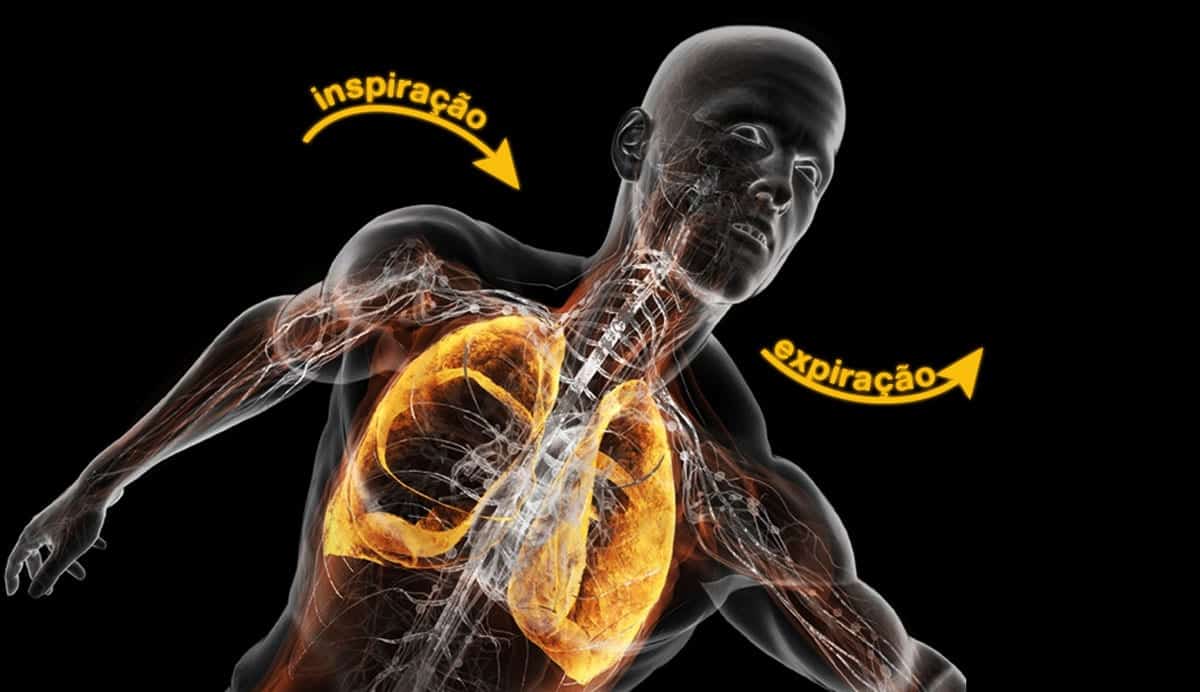 Respiração - o ato involuntário e importantíssimo para o nosso corpo