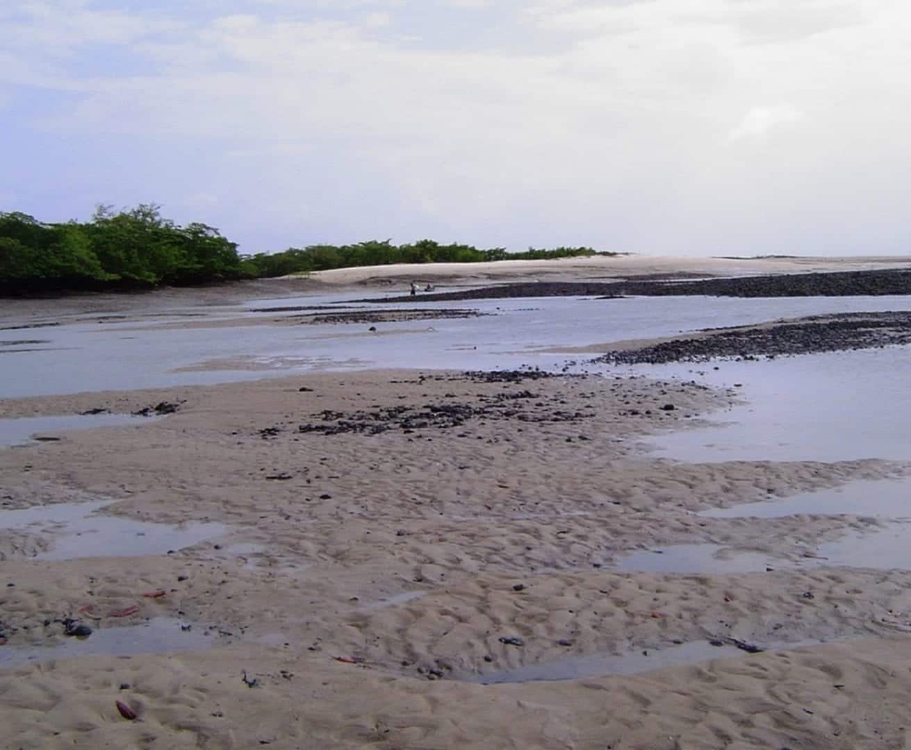 Mão afundando na areia movediça tentando tirar dicas para sobreviver no  deserto enterrado