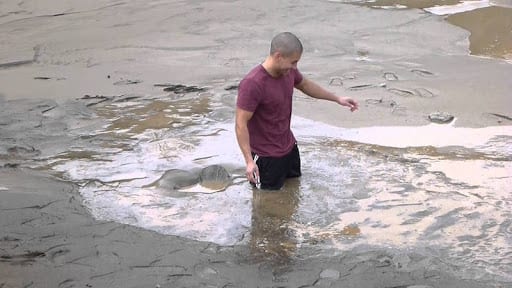 Entenda fenômeno de areia movediça que ocorreu em Balneário