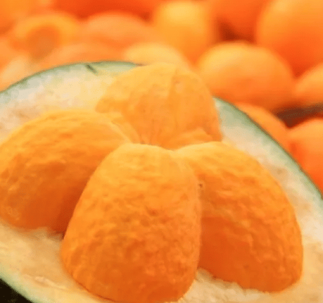 Frutos do Cerrado: 21 frutas típicas que você deveria conhecer