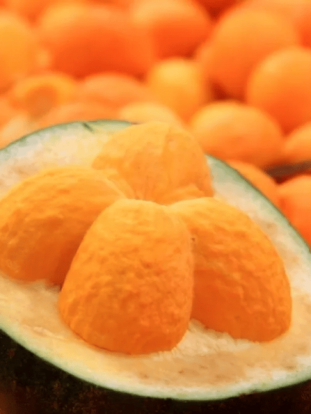 Conheça 5 frutos típicos do Cerrado e suas características