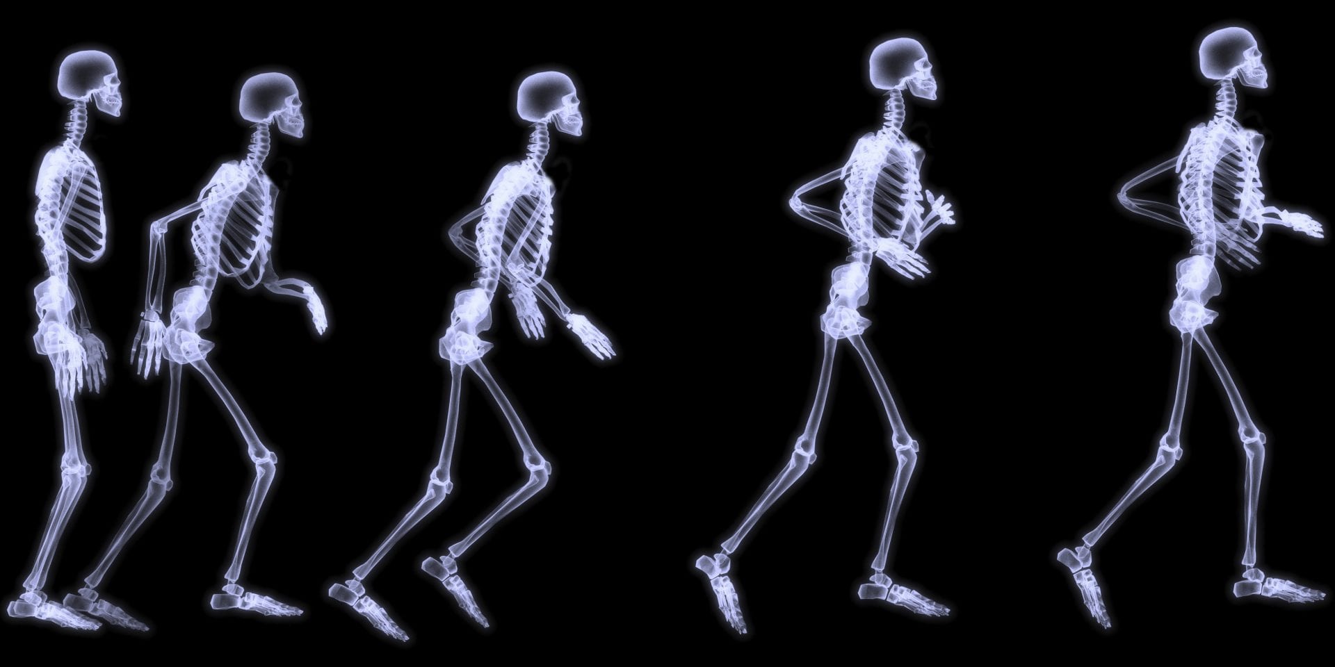 Conheça o maior e o menor osso do corpo humano e suas importâncias