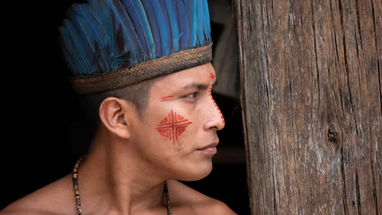 Tribos indígenas