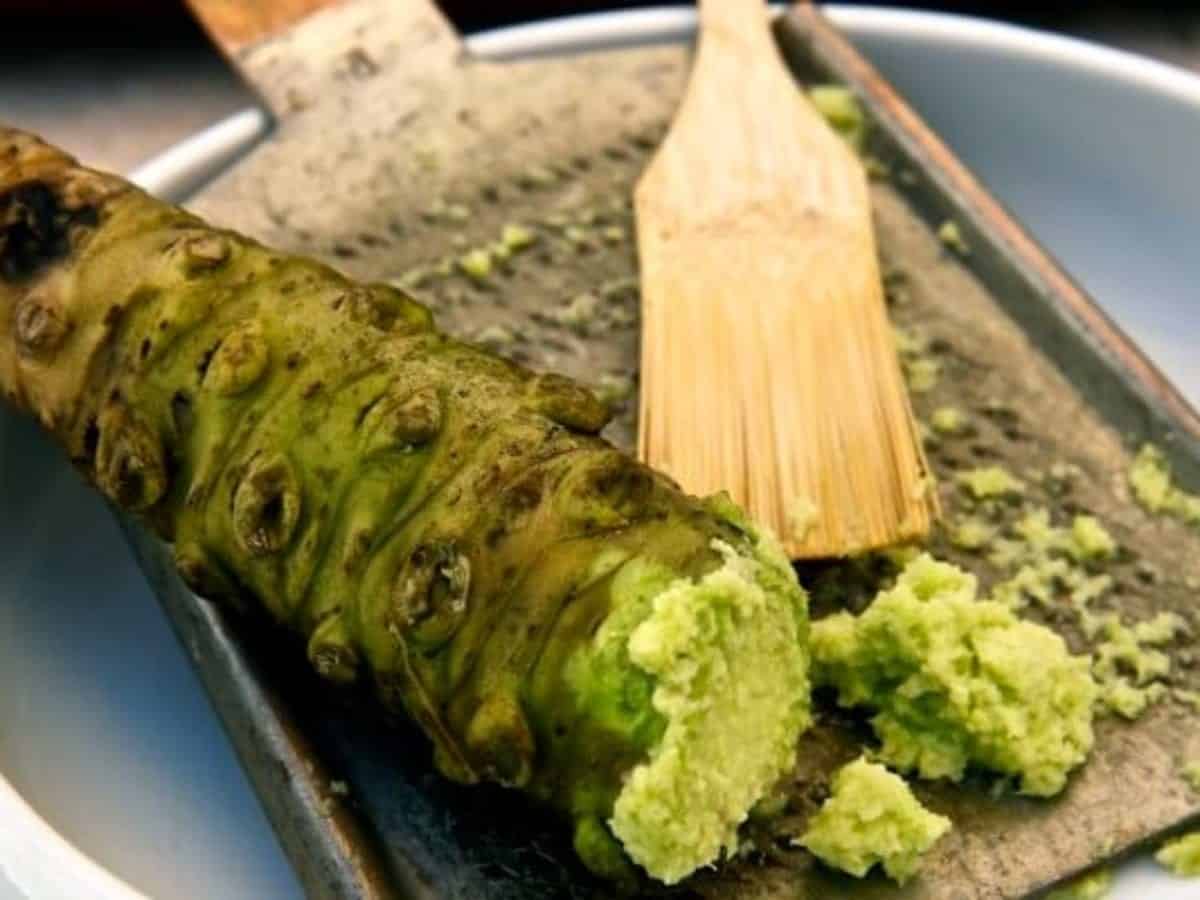 Como é feito wasabi no Brasil