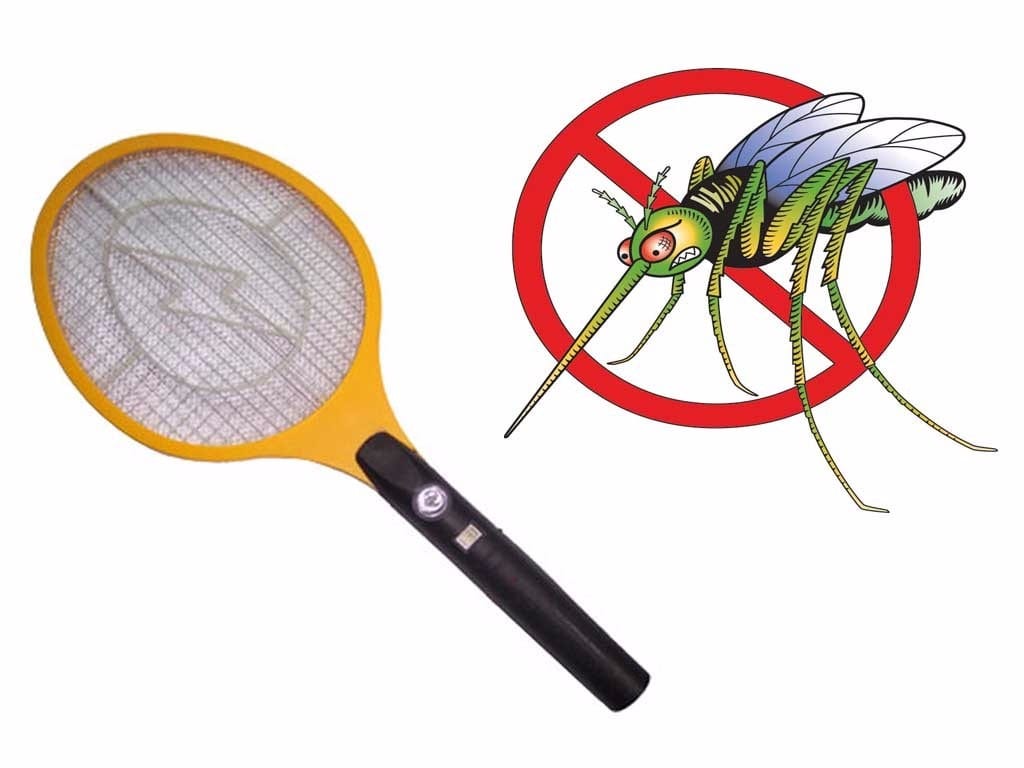 Como espantar moscas - Conheça 9 métodos caseiros